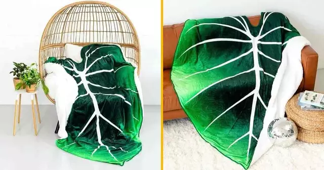 plaid-forme-monstera