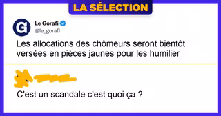 top reaction article satyrique