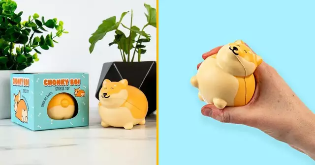 balle-anti-stress-shiba