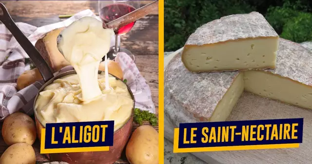 UNE_SPECIALITE_AUVERGNE