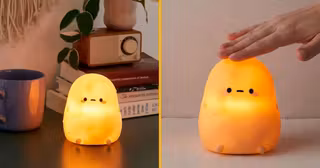 veilleuse-pomme-terre