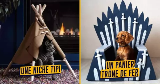 UNE_SHOPPING_nichepanier-chien-chat (1)