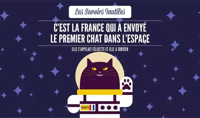 SAVOIRS_INUTILES_CHAT-04