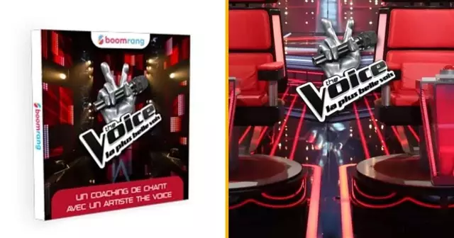 box-coaching-the-voice