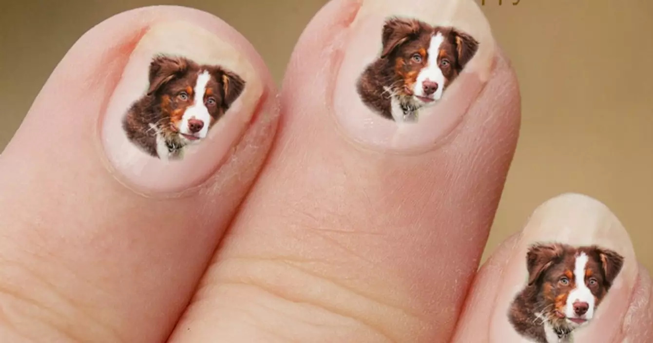 ongle-berger-australien