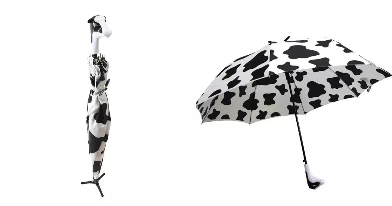 parapluie-vache
