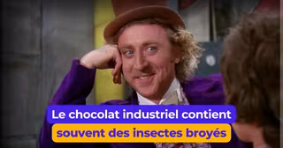 Copie de UNE Quentin - FULL (49)