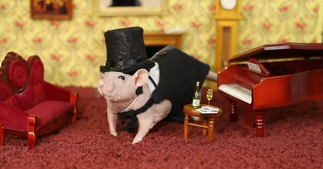 un-chapeau-haut-de-forme-pour-rat