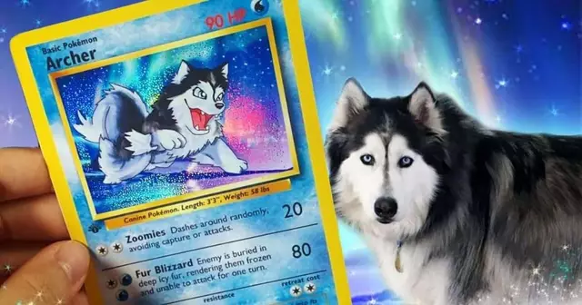 carte-pokemon-holographique-animal-compagnie