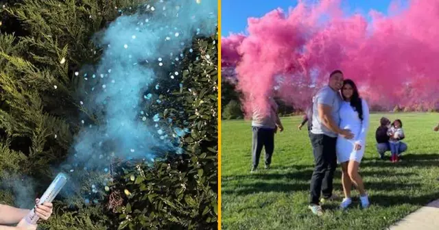 fumigenes-gender-reveal