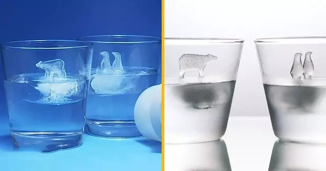 moule-glacon-banquise-arctique-verre