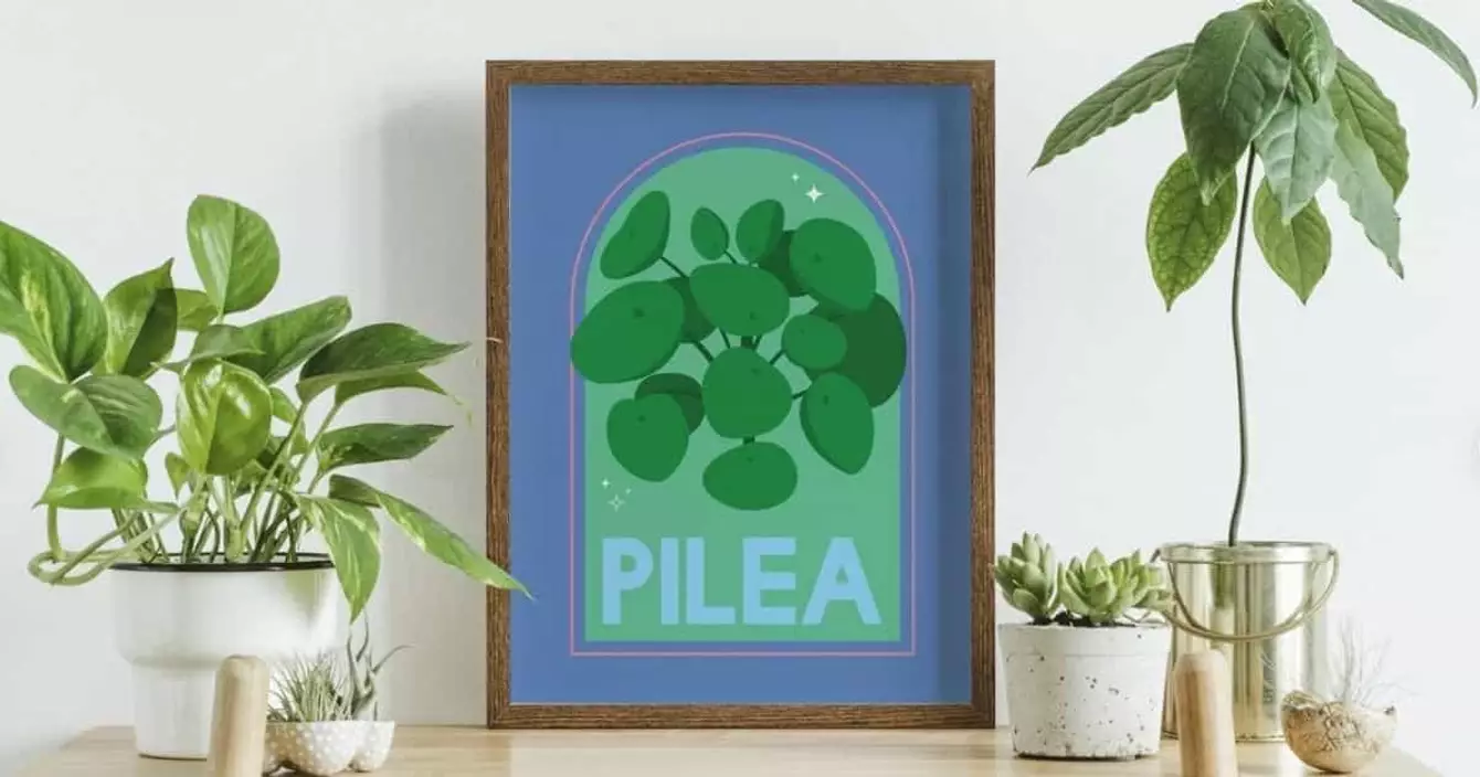 affiche-minimaliste-plante-argent