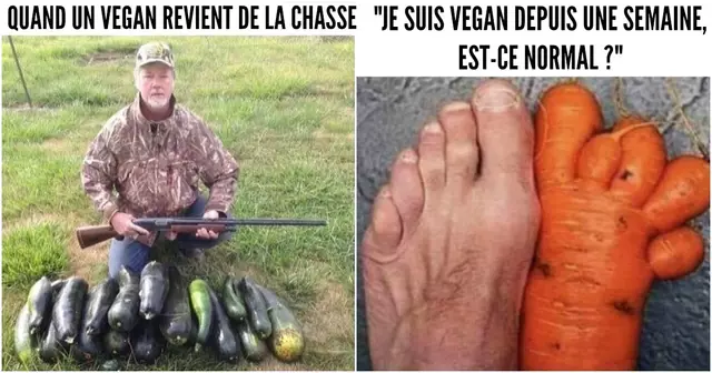 une meme vegan