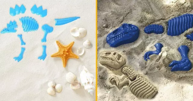 moules-sable-squelettes-dinosaure