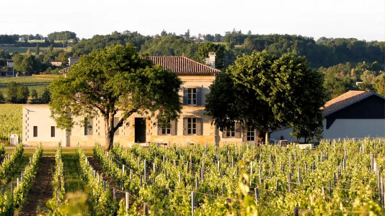 EXPEIRENCES-OENOLOGIQUES-RUE-DES-VIGNERONS