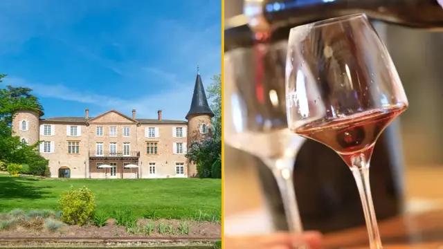 DEGUSTATIONS-VISITE-VIN