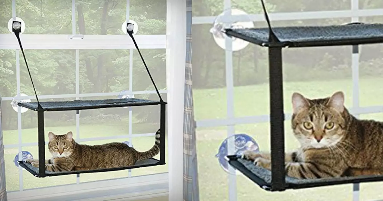 panier-suspendu-chat