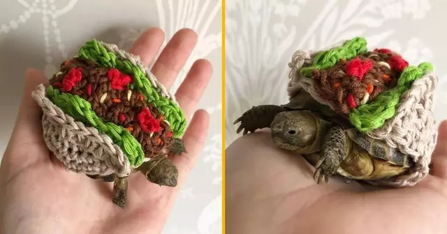 tortue-tacos-costume