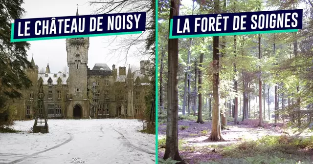 UNE_VOYAGE_noisy_soignes