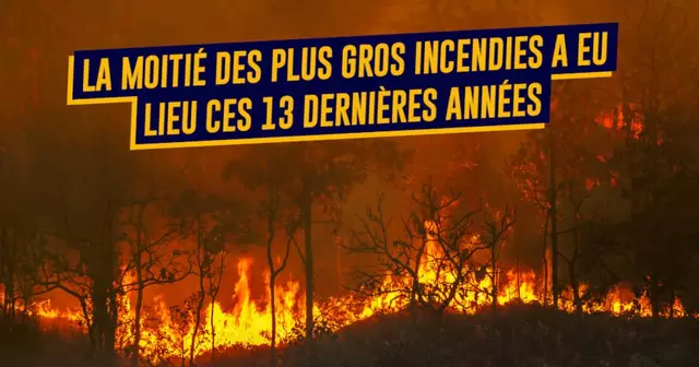 top incendies