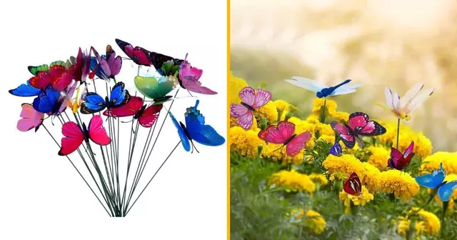 papillons-planter-jardin