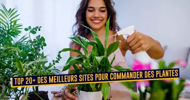 TOP_SHOPPING_SITES_PLANTES2