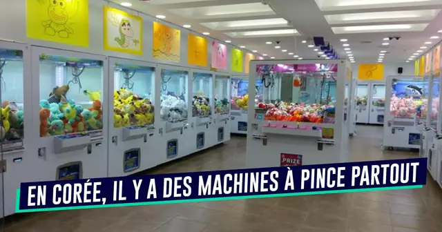 UNE_VOYAGE_corée_pince