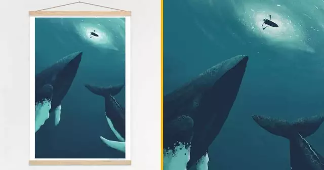 illustration-baleine