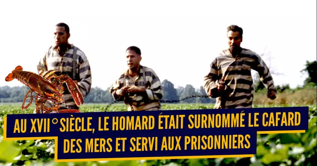 une_aliments_pauvres_luxe