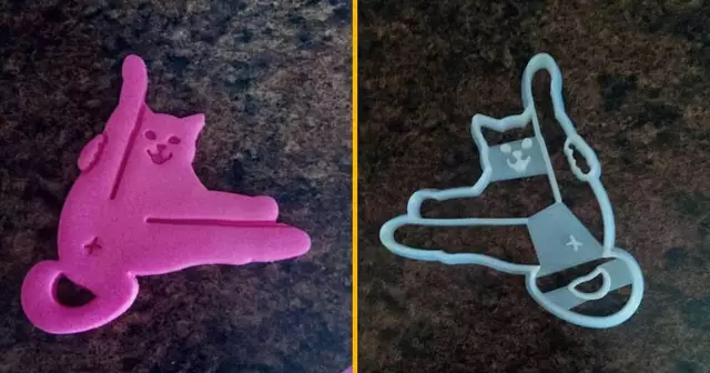 emporte-piece-chat-anus