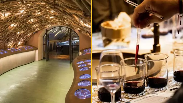degustation-vins-caves-louvres
