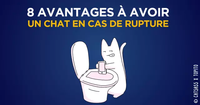 VIGNETTE_CATSASS_RUPTURE0