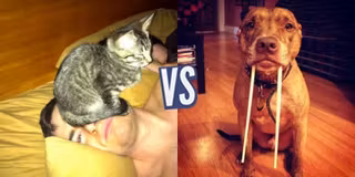 battle-340535-1417685152