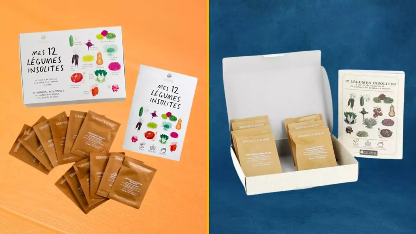 kit-legumes-insolites