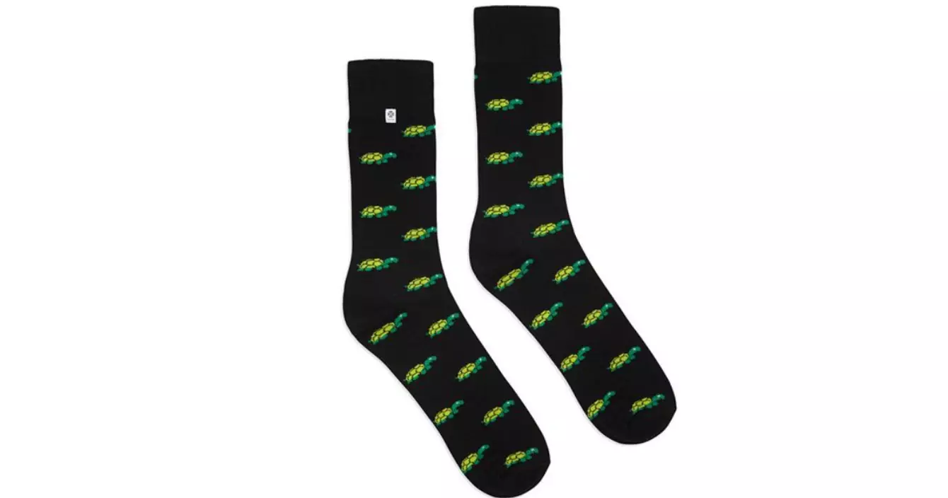 chaussette-tortue
