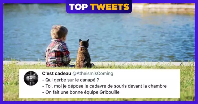 une-top-tweets-vomi-2