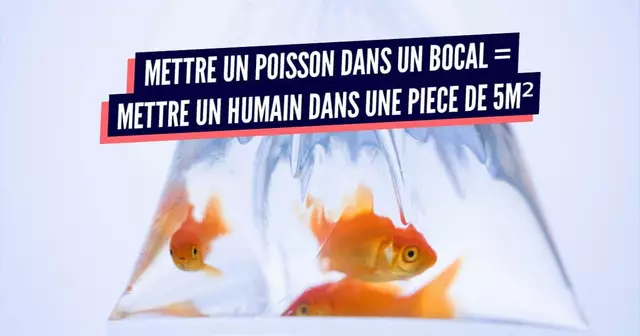 POISSON (1)