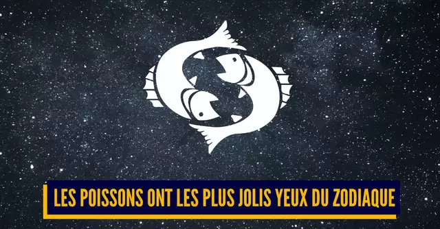 UNE_TOP_RAISONS_SORTIR_POISSONS