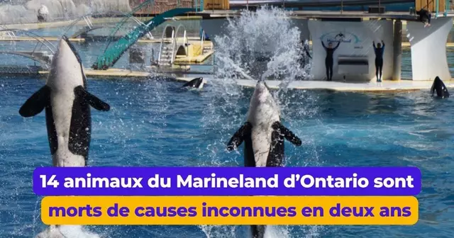marineland