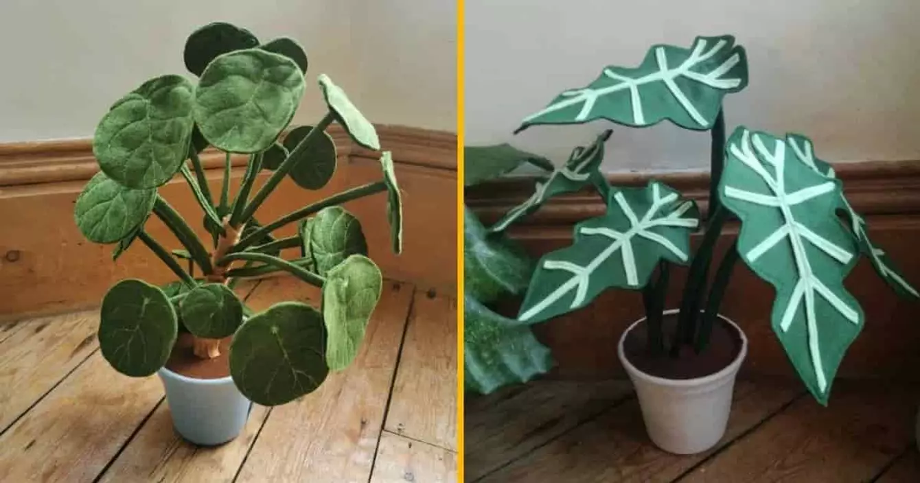 broche-feutre-plantes