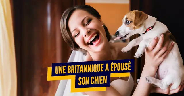 top maitres chien chat