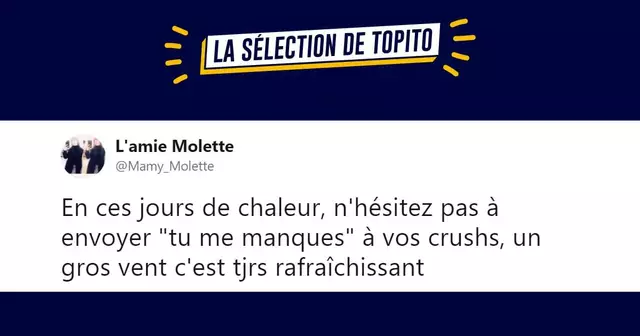 top tweets canicule