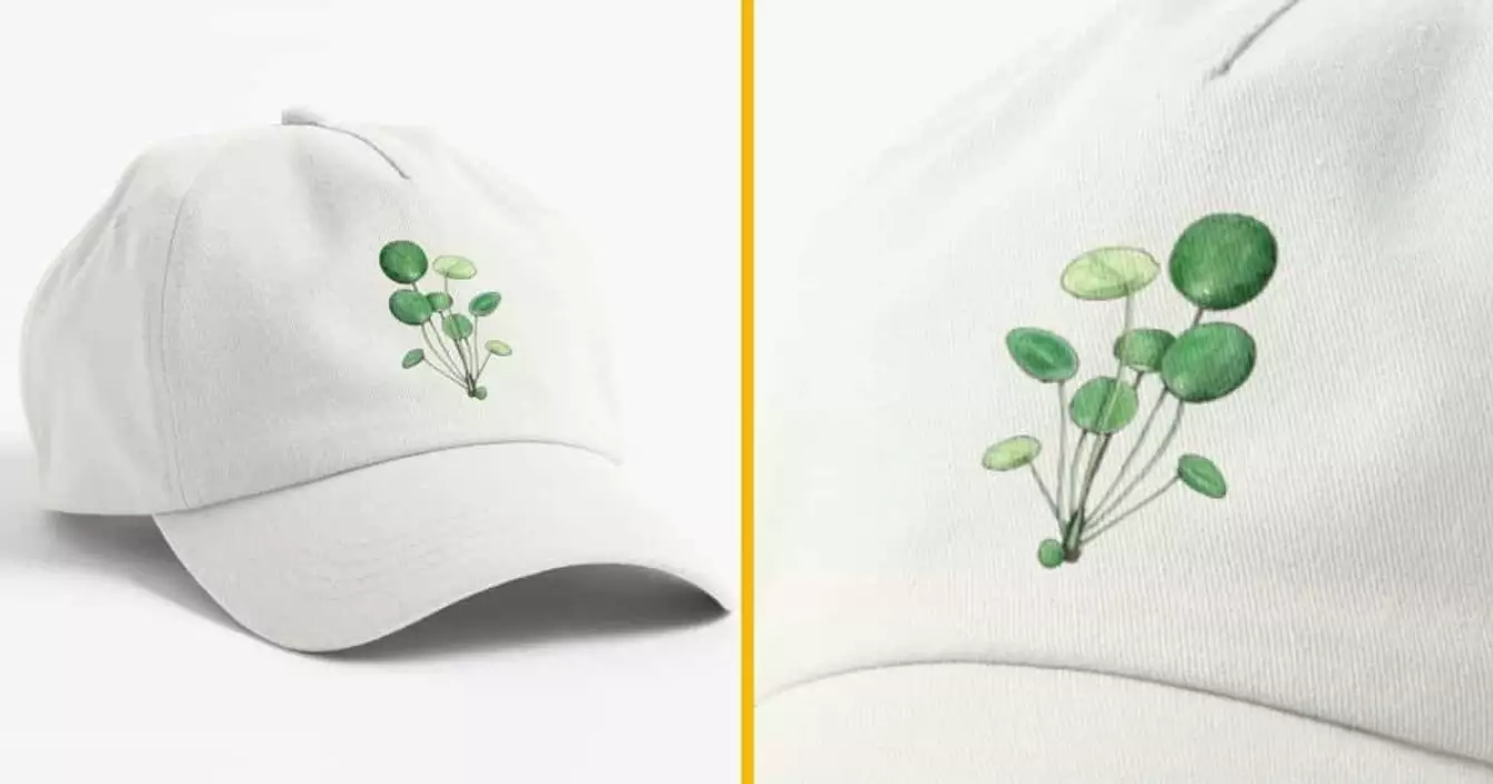 casquette-pilea