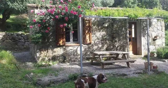 bergerie-corse-du-sud