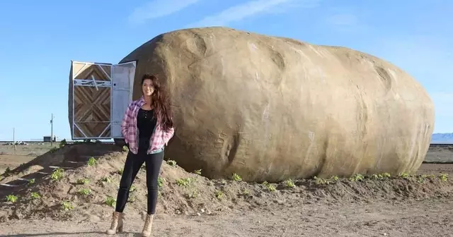 nuit-airbnb-patate-geante