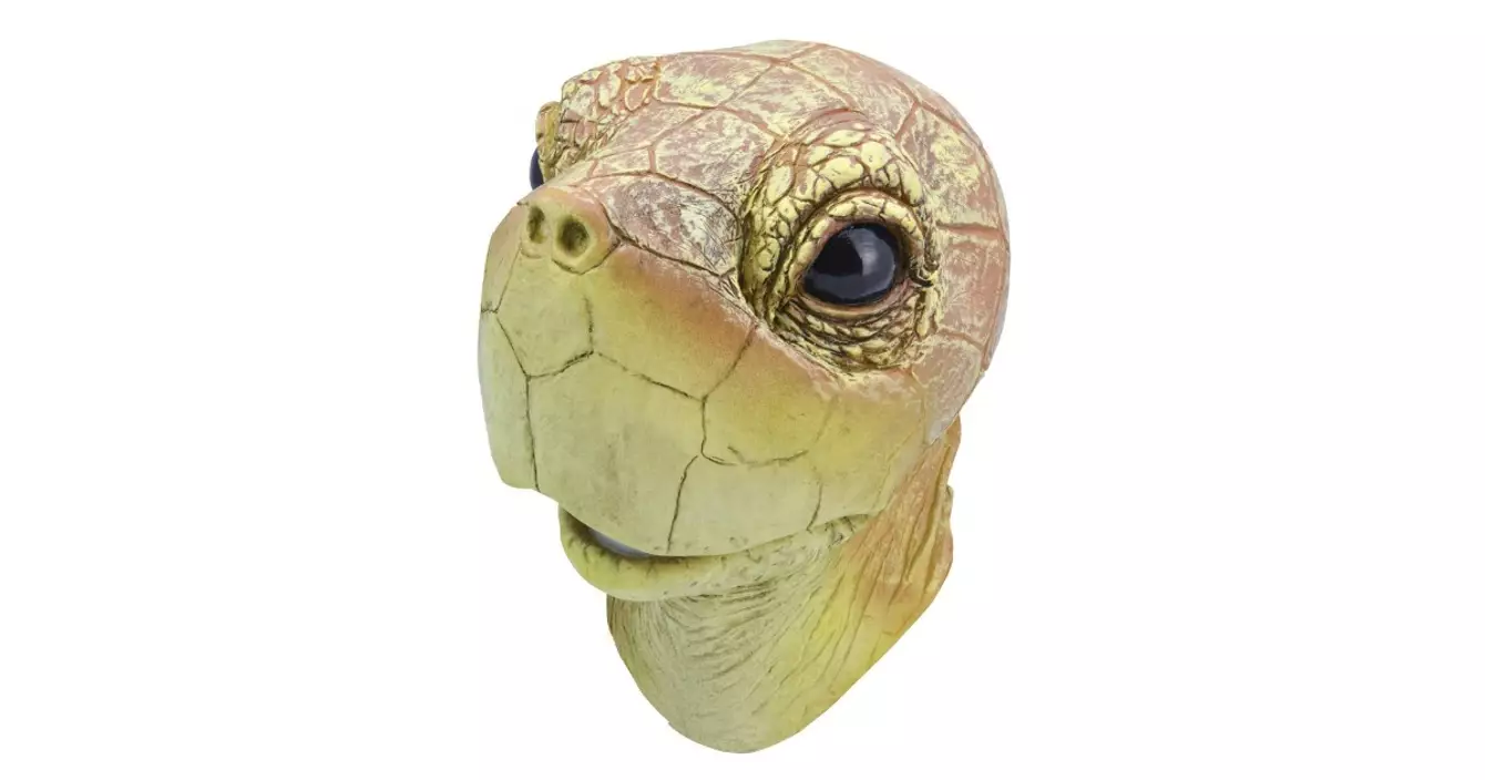masque-tortue