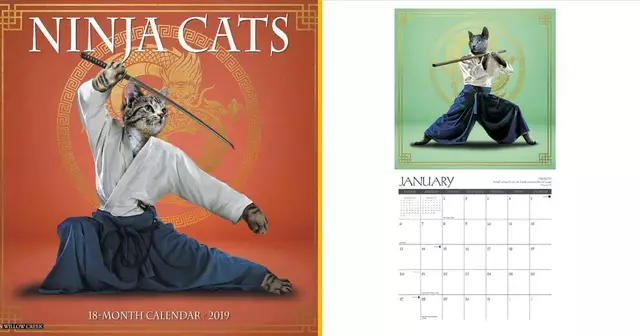 calendrier-chats-ninja