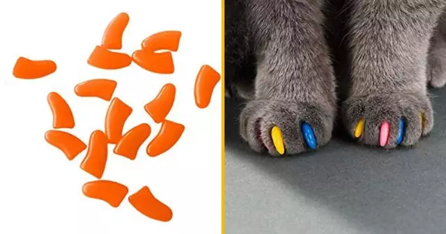 faux-ongles-pour-chat