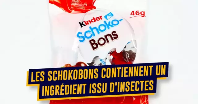 TOP SECRETIONS INSECTES 2