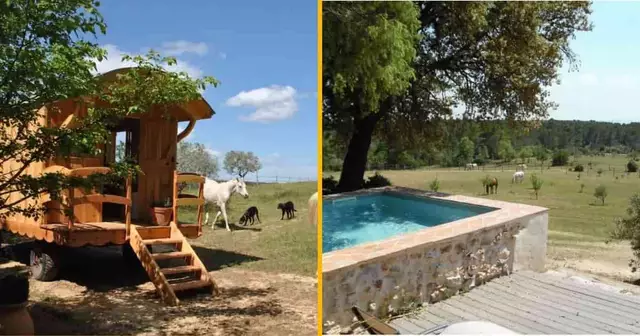 cabane-berger-milieu-chevaux